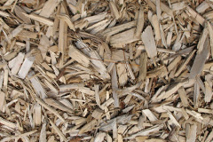biomass boilers Rydal